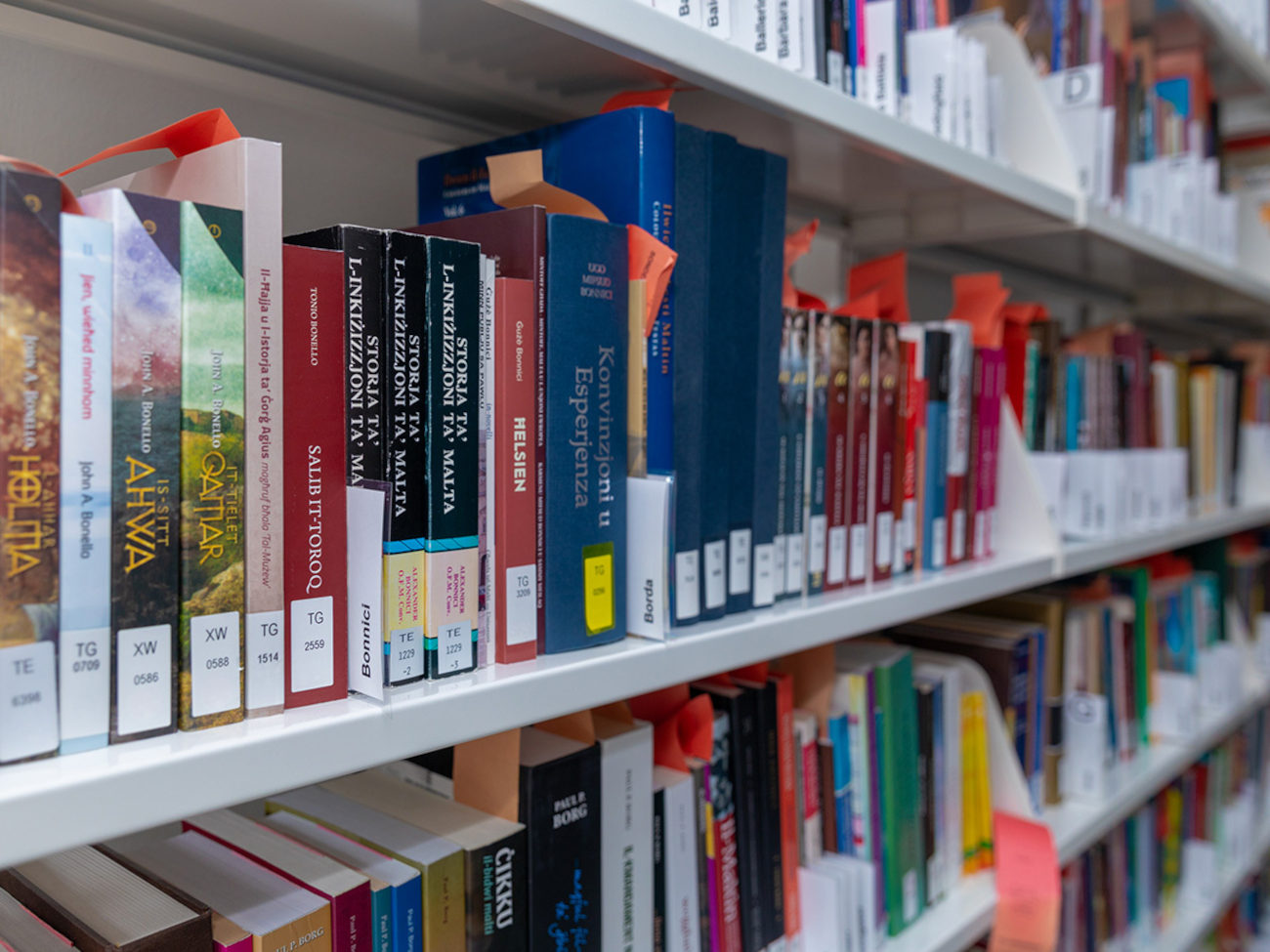 Regalreihe mit Buchrücken in der Malta-Bibliothek
