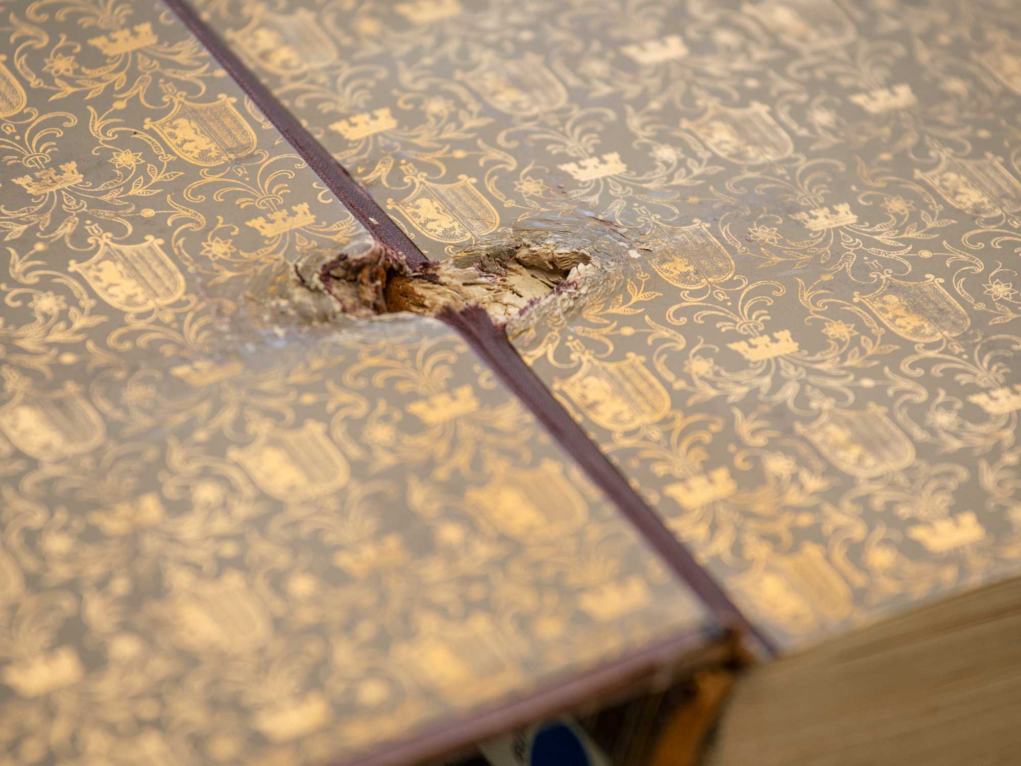 A damaged book lies open.