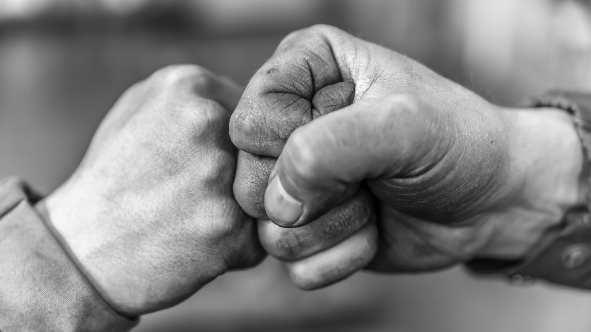 Two fists touching each other to symbolize solidarity