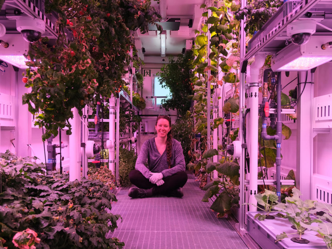 A person sits on the floor of the EDEN ISS greenhouse.