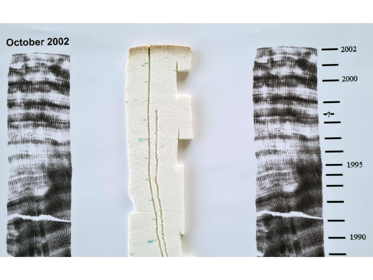 Bild eines Korallenbohrkerns umschlossen von zwei Röntgenaufnahmen aus dem Jahr 2022.