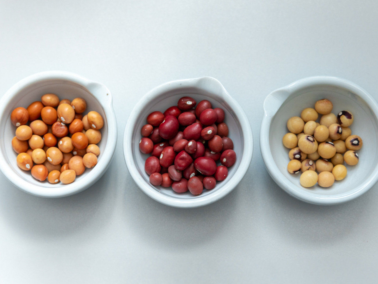Three different varieties of the earth pea in bowls