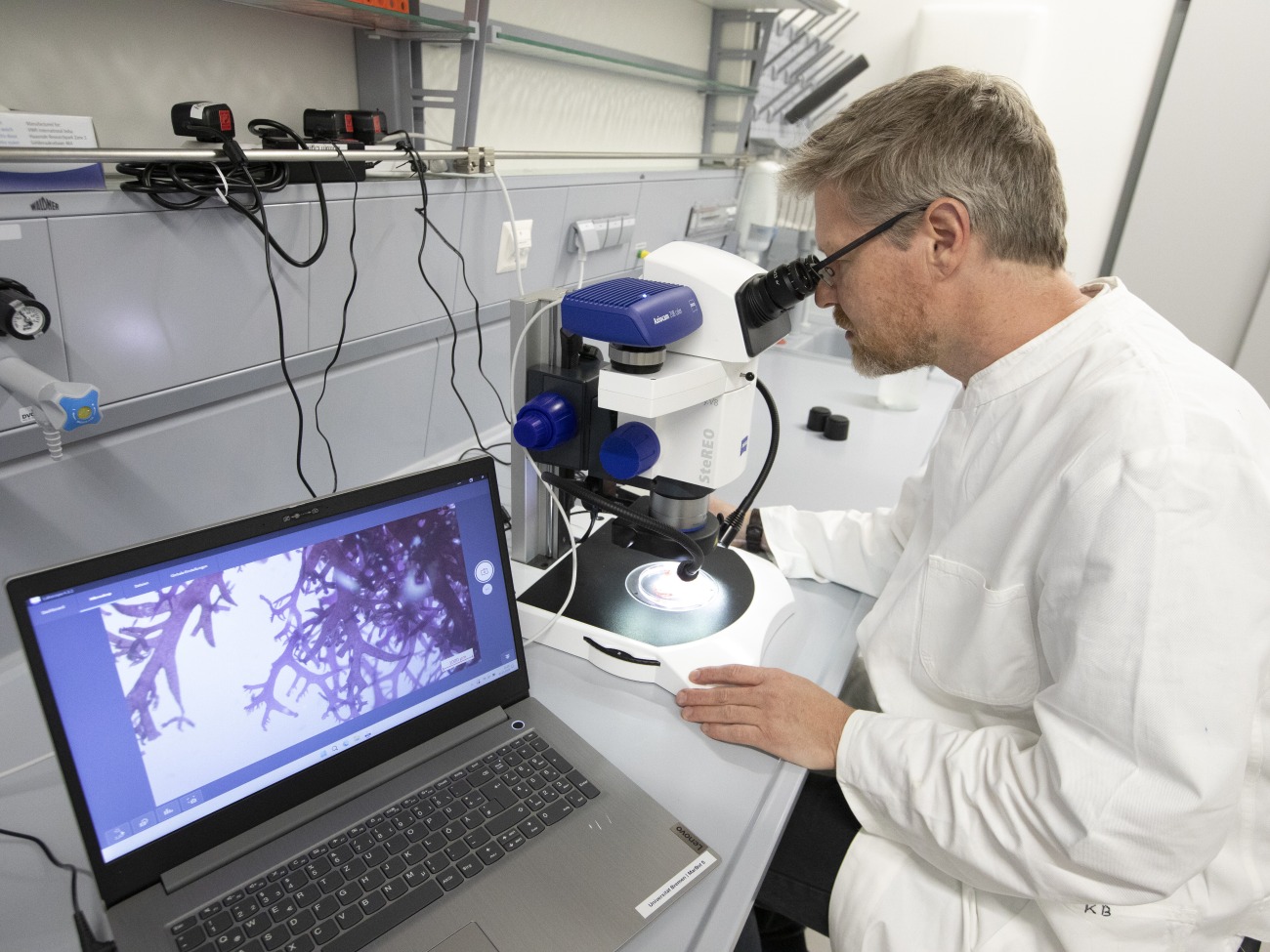 A person wearing a lab coat is sitting at a table and looking through a microscope.
