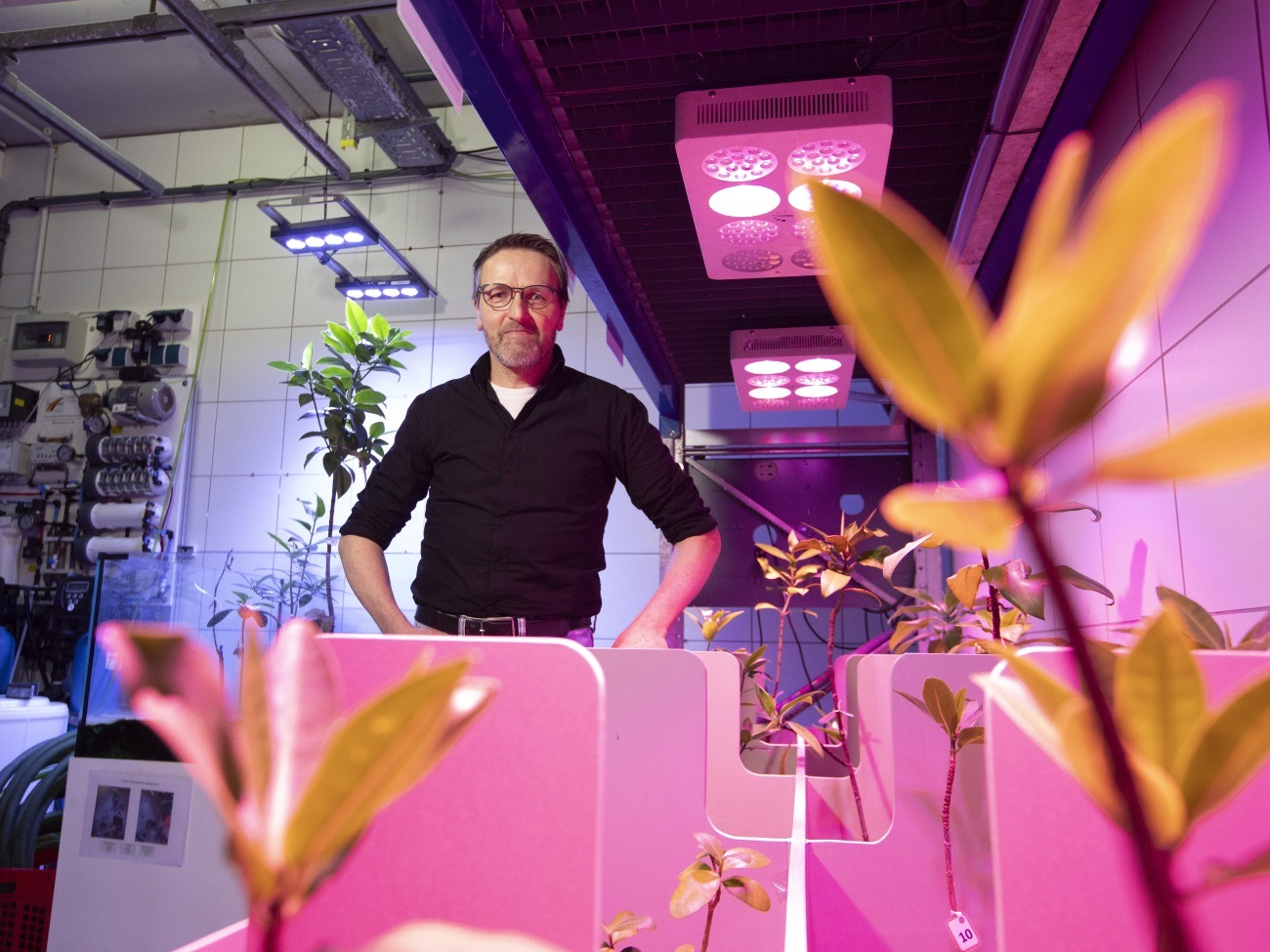 Martin Zimmer is standing in the background, and mangrove seedlings can be seen in the foreground.