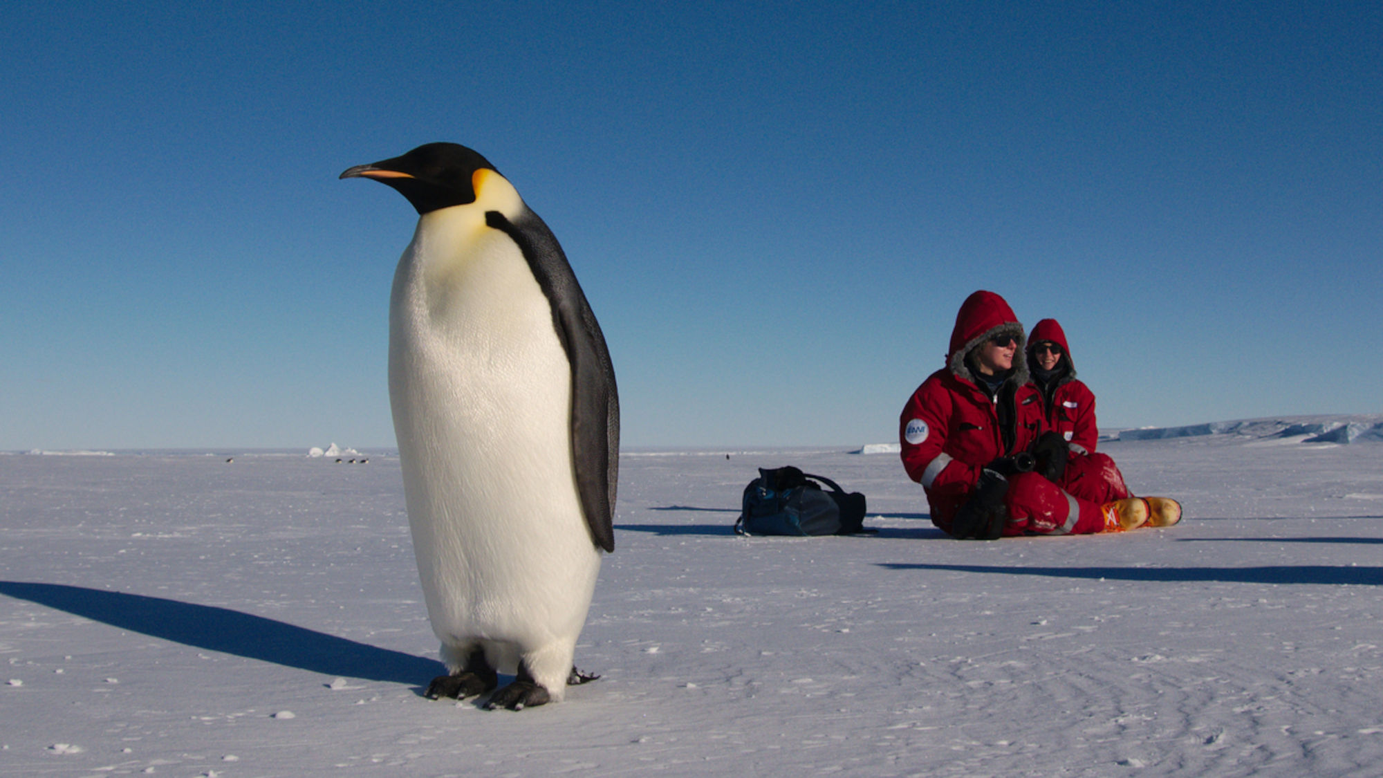 Jess Bunchek and Linda Ort sit in Akta Bay with an emperor penguin in front of them.