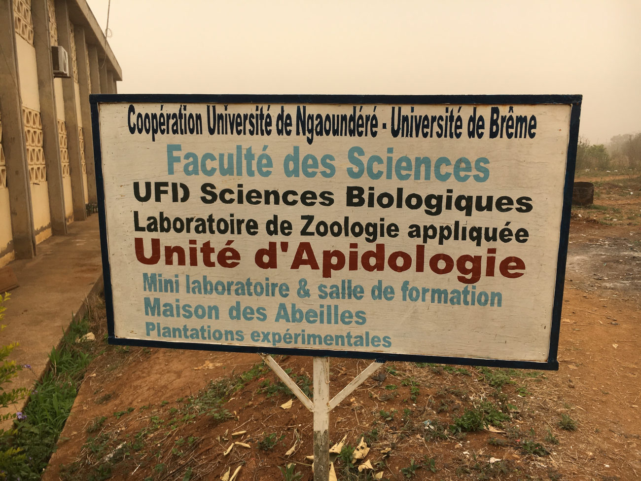 A sign on which the words “Cooperation Universite de Ngaroundene - Universite de Breme” can be seen, among other things