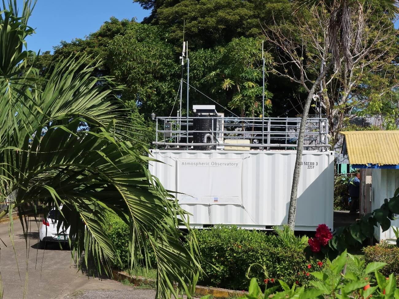 A photo of a measurement container in a lush tropical setting.